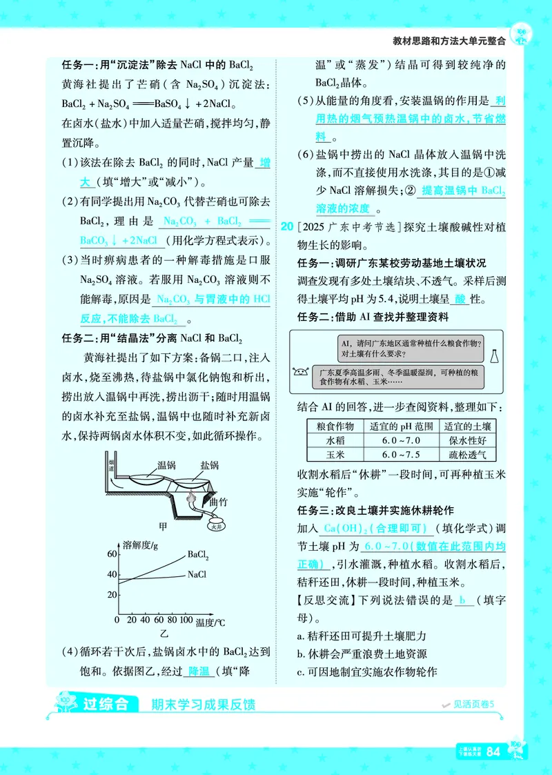 2026《初中化学&bull;一遍过》9年级下册(人教)答案_2026春《初中一遍过》系列_2026《天星教育&bull;一遍过》（9年级下册）（化学）（RJ）