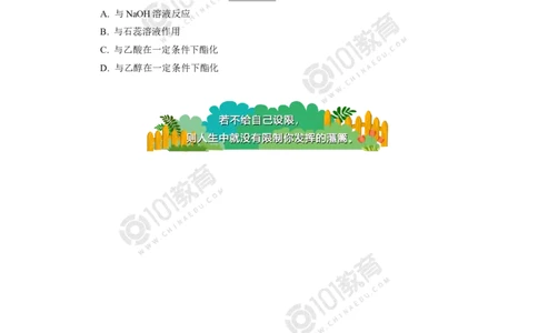 必修2第七章第三节乙醇与乙酸同步练习_新人教版高中化学必修一、二_新人教版高中化学必修下册_101教育学（下学期）配套学案和练习