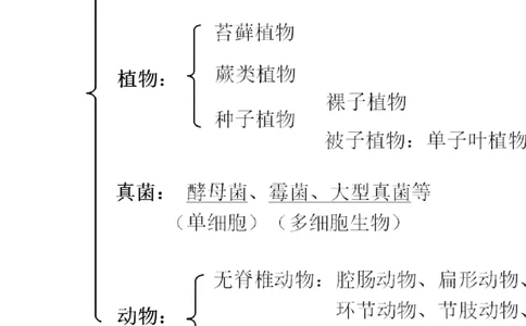 北师大版八年级生物下册知识点总结_24秋《初中各科知识点梳理》_初中生物《知识梳理》7-8年级上下册_北师大版初中生物7-8年级上下册知识点