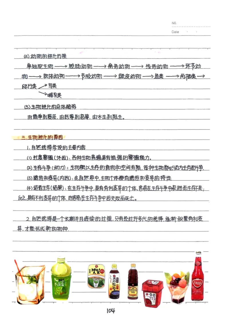 9）中考生物状元笔记（154页）(1)_内蒙古中考真题_赠品_2025.05.01初中九科学霸笔记（无水印）