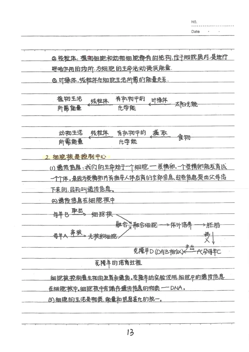 9）中考生物状元笔记（154页）(1)_内蒙古中考真题_赠品_2025.05.01初中九科学霸笔记（无水印）