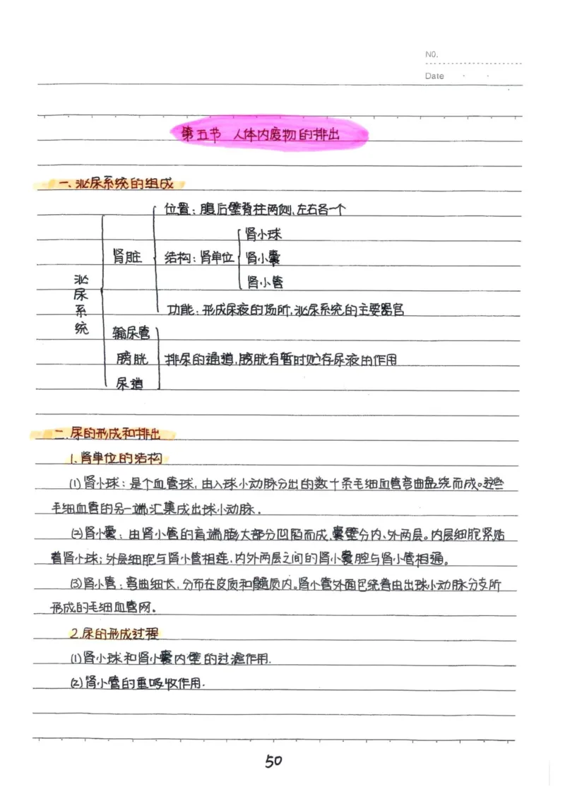 9）中考生物状元笔记（154页）(1)_内蒙古中考真题_赠品_2025.05.01初中九科学霸笔记（无水印）
