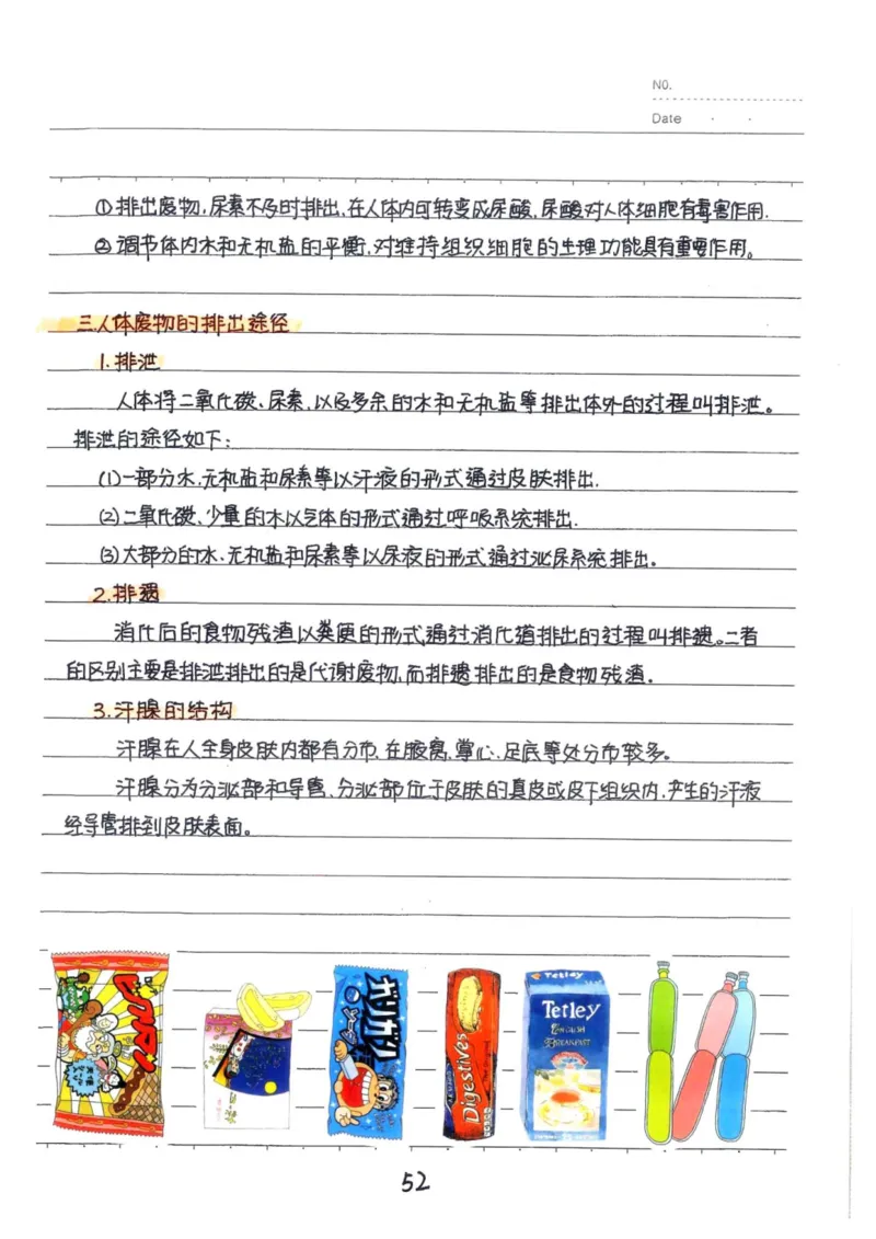9）中考生物状元笔记（154页）(1)_内蒙古中考真题_赠品_2025.05.01初中九科学霸笔记（无水印）
