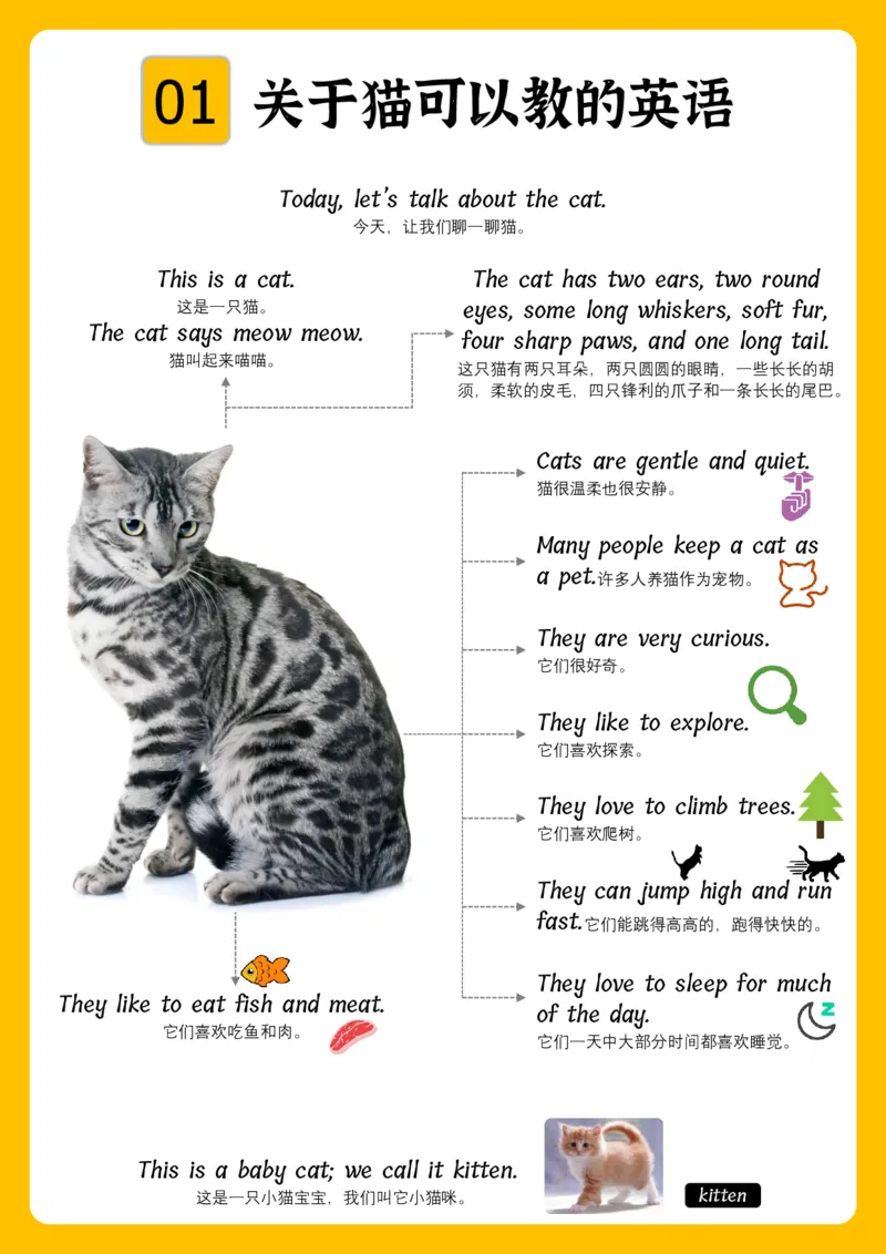 火爆的英语口语思维导图_《小学思维导图》_思维导图语数英第二套_英语_火爆的英语口语思维导图