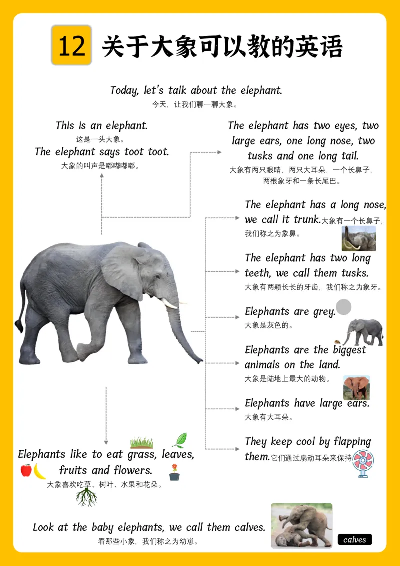 火爆的英语口语思维导图_《小学思维导图》_思维导图语数英第二套_英语_火爆的英语口语思维导图
