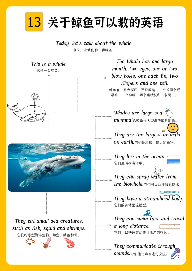火爆的英语口语思维导图_《小学思维导图》_思维导图语数英第二套_英语_火爆的英语口语思维导图