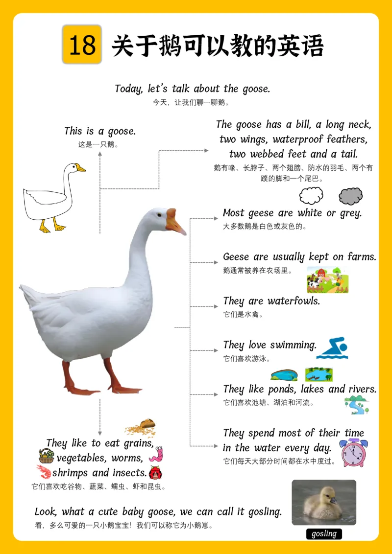 火爆的英语口语思维导图_《小学思维导图》_思维导图语数英第二套_英语_火爆的英语口语思维导图