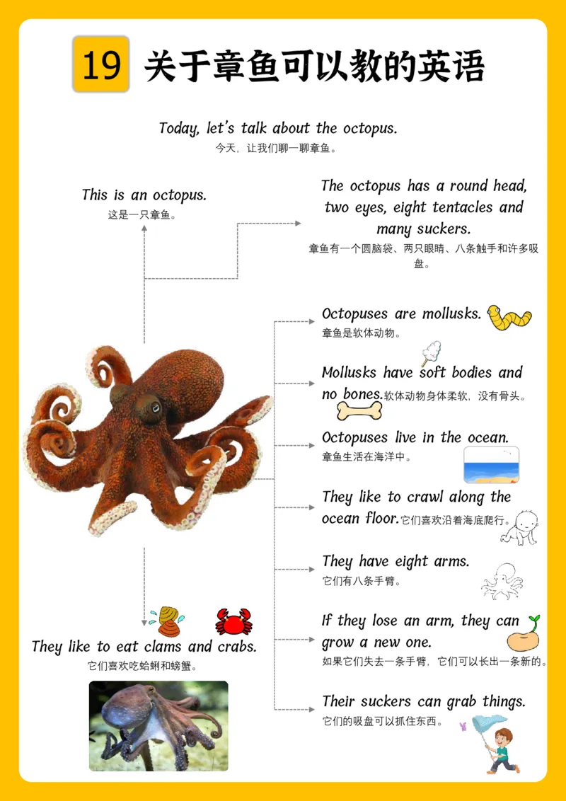 火爆的英语口语思维导图_《小学思维导图》_思维导图语数英第二套_英语_火爆的英语口语思维导图