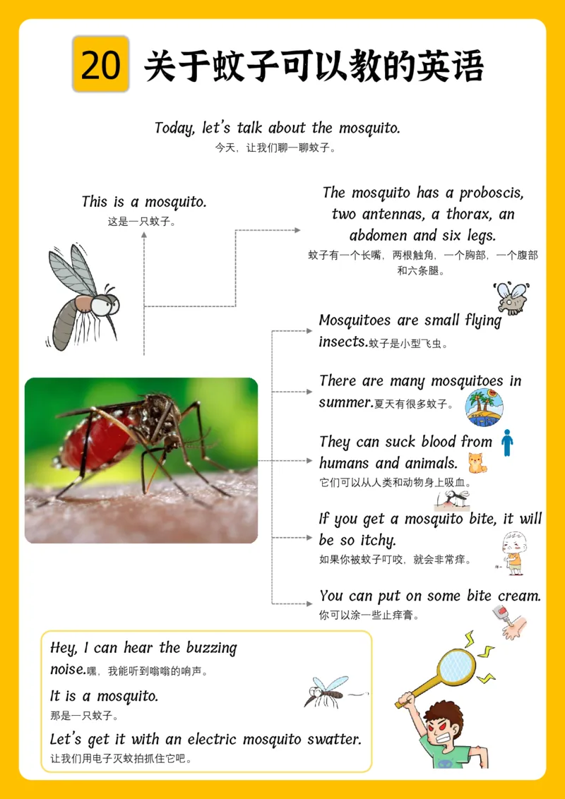 火爆的英语口语思维导图_《小学思维导图》_思维导图语数英第二套_英语_火爆的英语口语思维导图
