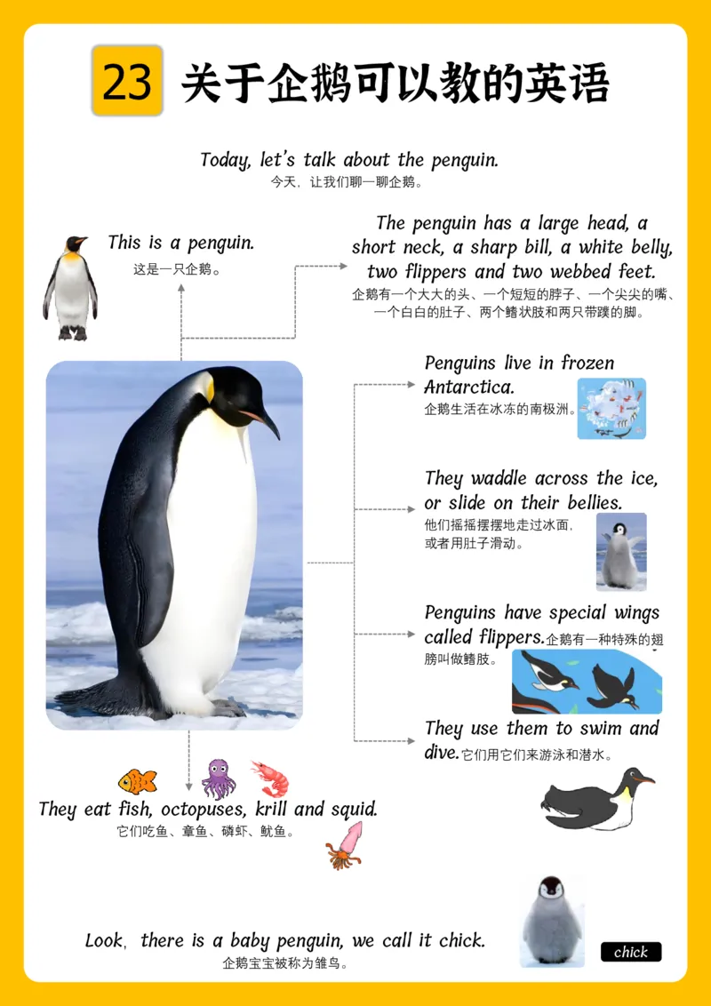 火爆的英语口语思维导图_《小学思维导图》_思维导图语数英第二套_英语_火爆的英语口语思维导图