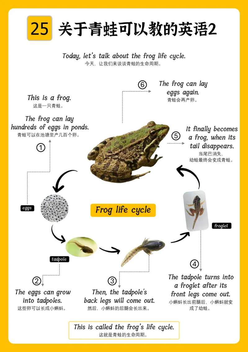 火爆的英语口语思维导图_《小学思维导图》_思维导图语数英第二套_英语_火爆的英语口语思维导图