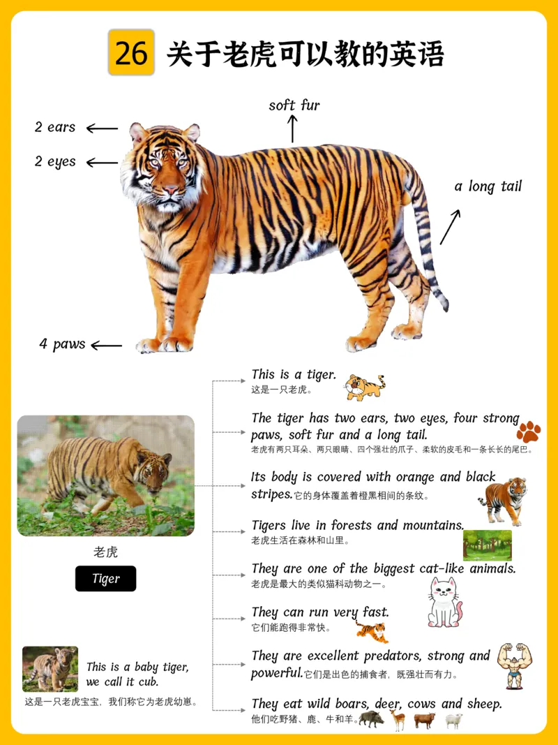 火爆的英语口语思维导图_《小学思维导图》_思维导图语数英第二套_英语_火爆的英语口语思维导图