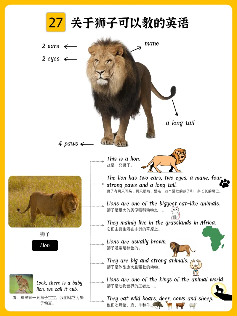 火爆的英语口语思维导图_《小学思维导图》_思维导图语数英第二套_英语_火爆的英语口语思维导图
