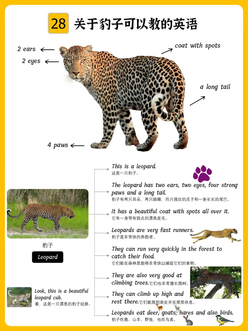 火爆的英语口语思维导图_《小学思维导图》_思维导图语数英第二套_英语_火爆的英语口语思维导图