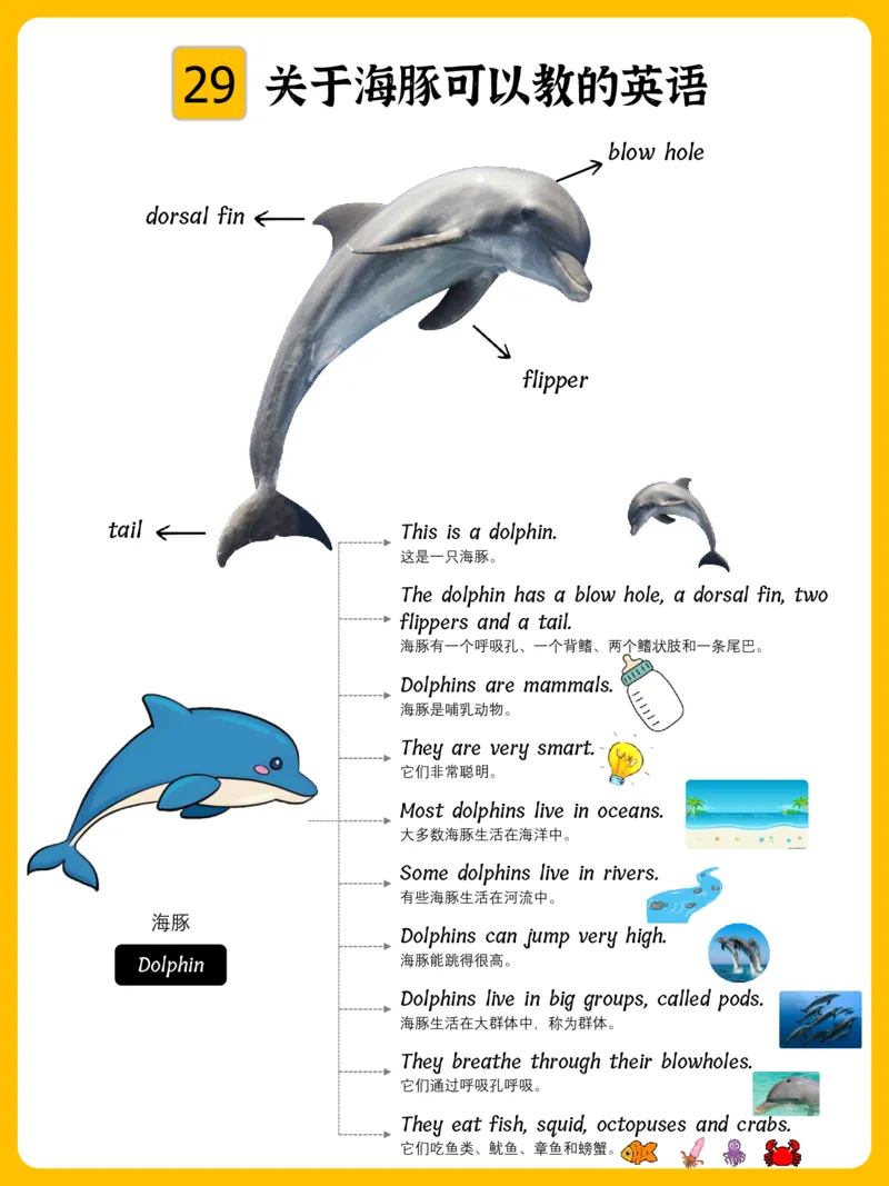 火爆的英语口语思维导图_《小学思维导图》_思维导图语数英第二套_英语_火爆的英语口语思维导图