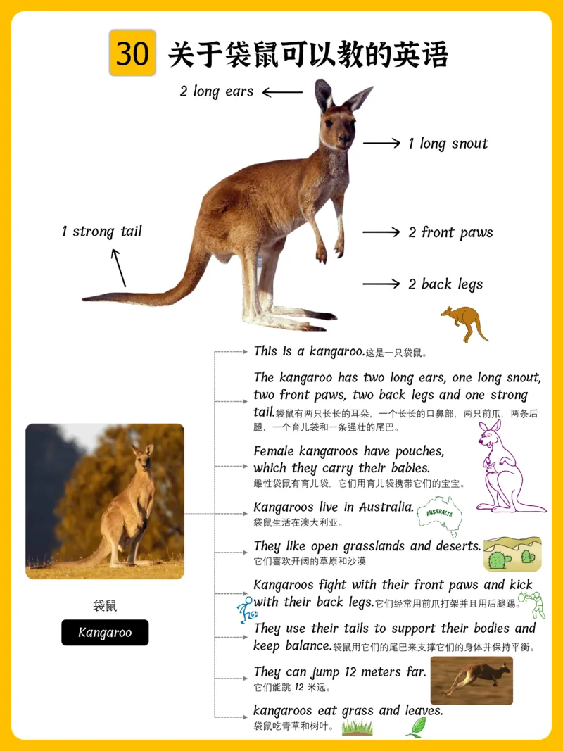 火爆的英语口语思维导图_《小学思维导图》_思维导图语数英第二套_英语_火爆的英语口语思维导图