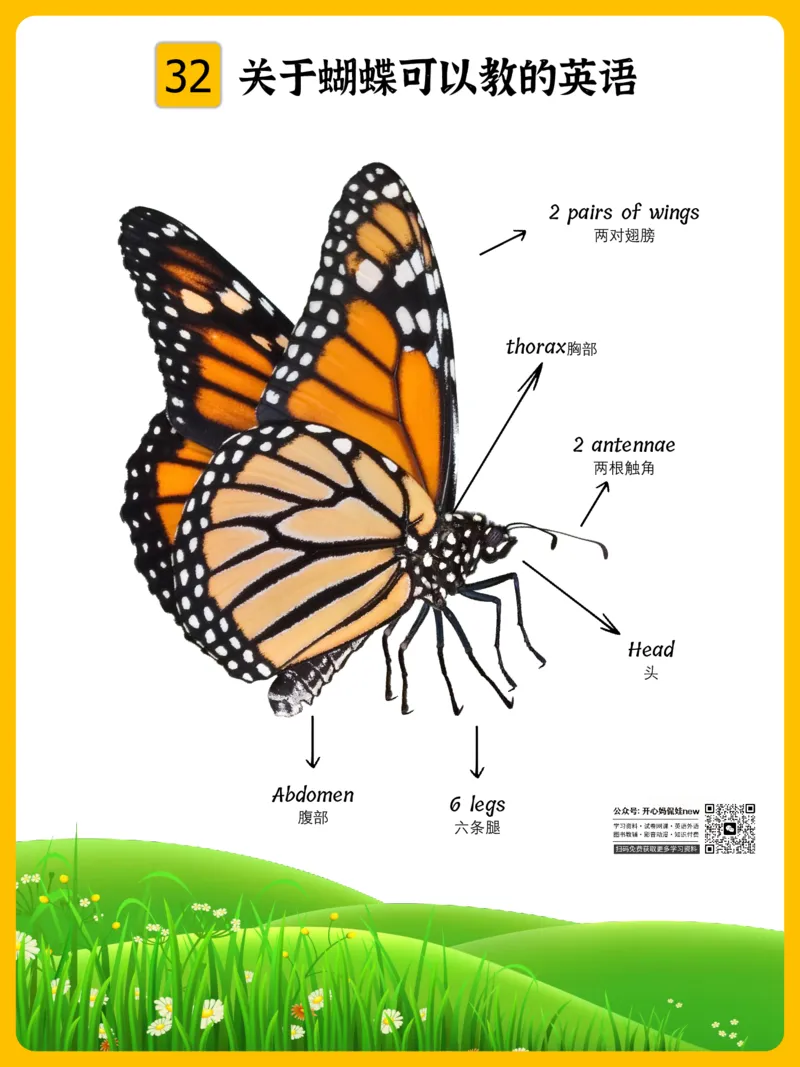火爆的英语口语思维导图_《小学思维导图》_思维导图语数英第二套_英语_火爆的英语口语思维导图