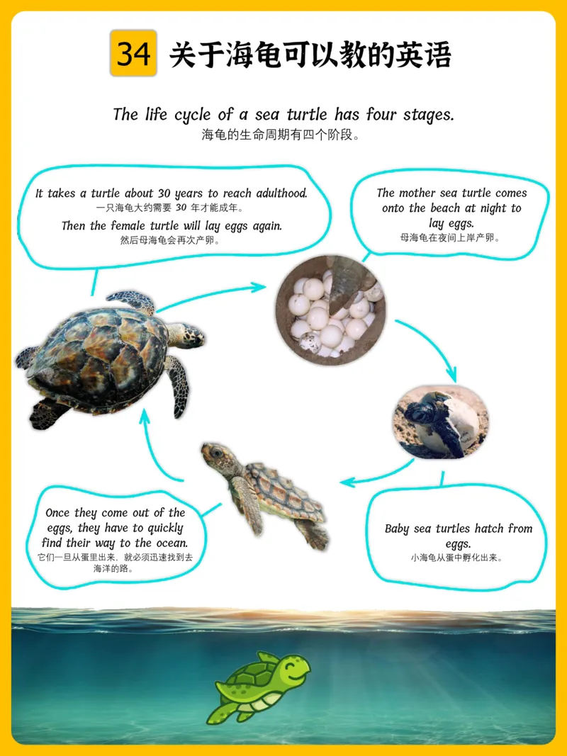 火爆的英语口语思维导图_《小学思维导图》_思维导图语数英第二套_英语_火爆的英语口语思维导图