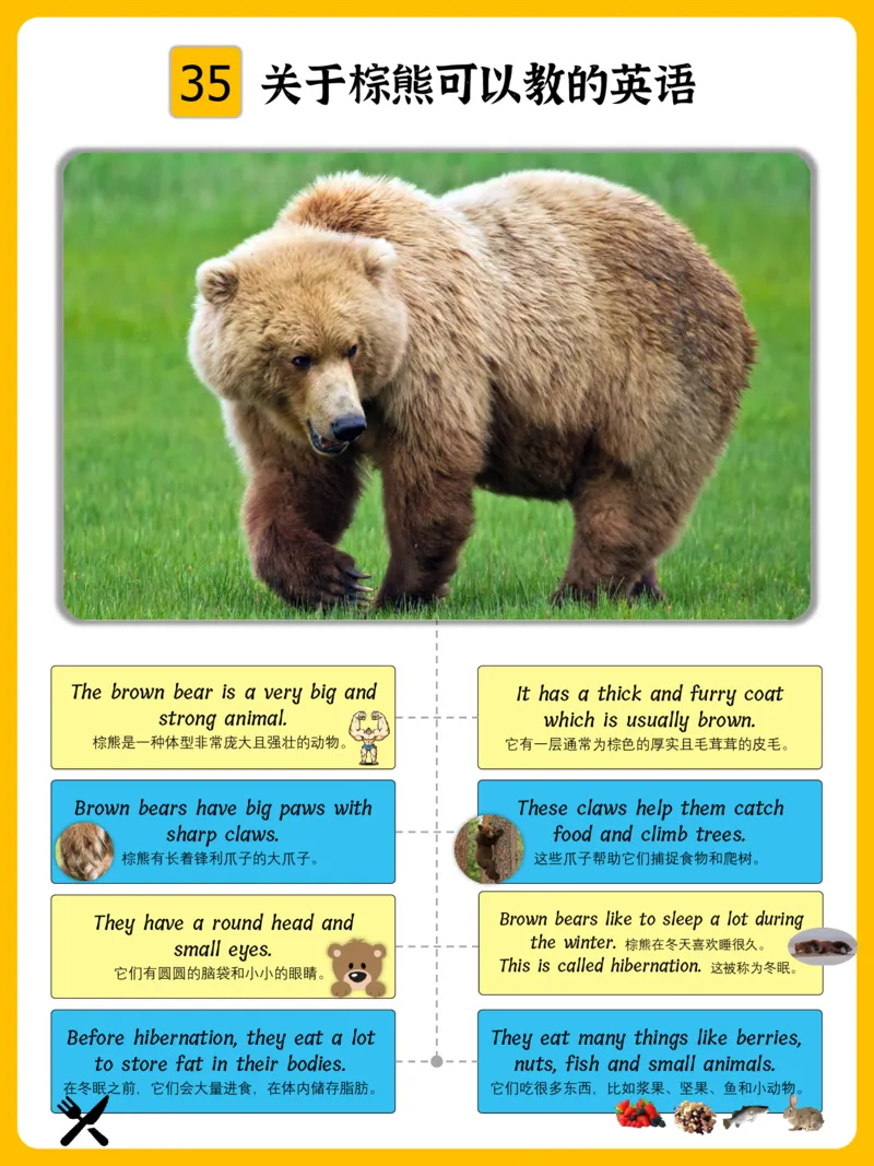 火爆的英语口语思维导图_《小学思维导图》_思维导图语数英第二套_英语_火爆的英语口语思维导图