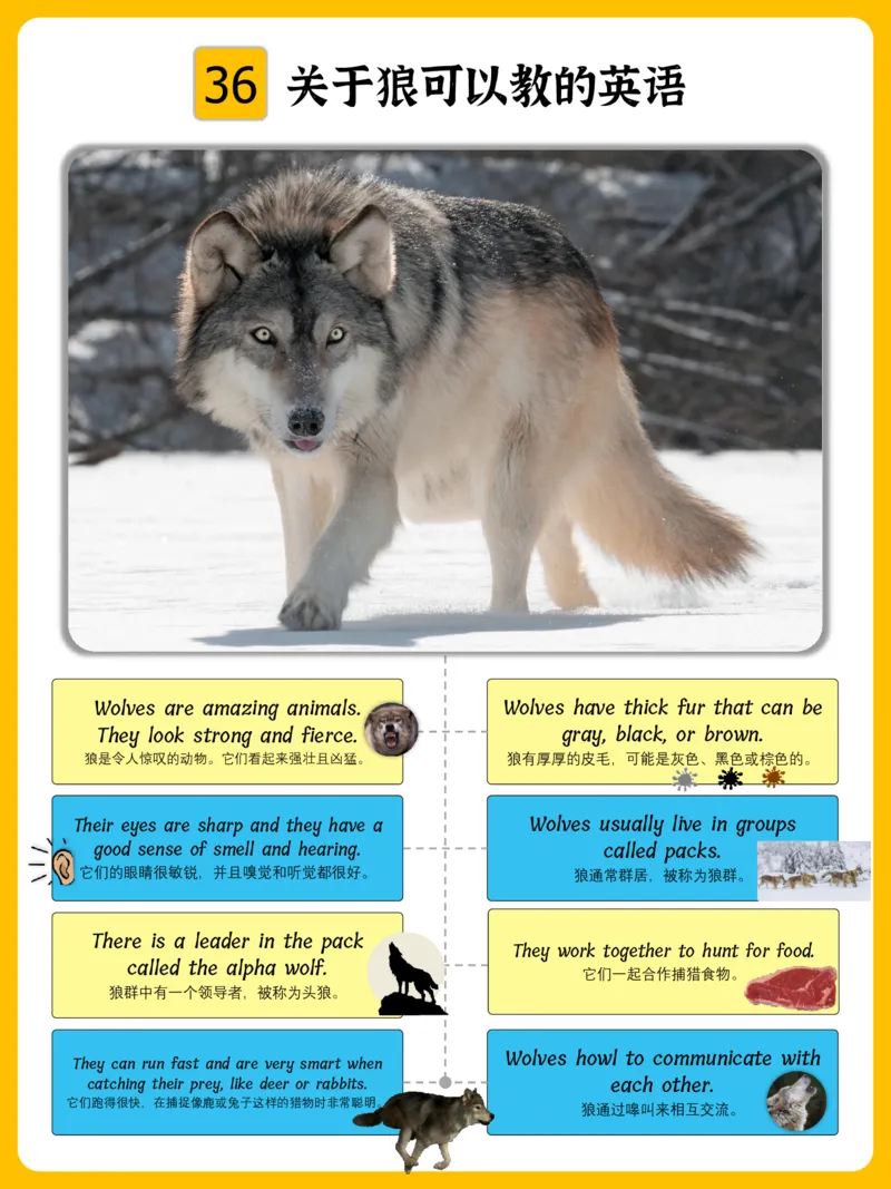 火爆的英语口语思维导图_《小学思维导图》_思维导图语数英第二套_英语_火爆的英语口语思维导图