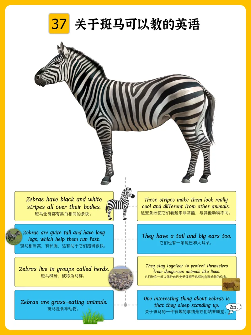 火爆的英语口语思维导图_《小学思维导图》_思维导图语数英第二套_英语_火爆的英语口语思维导图