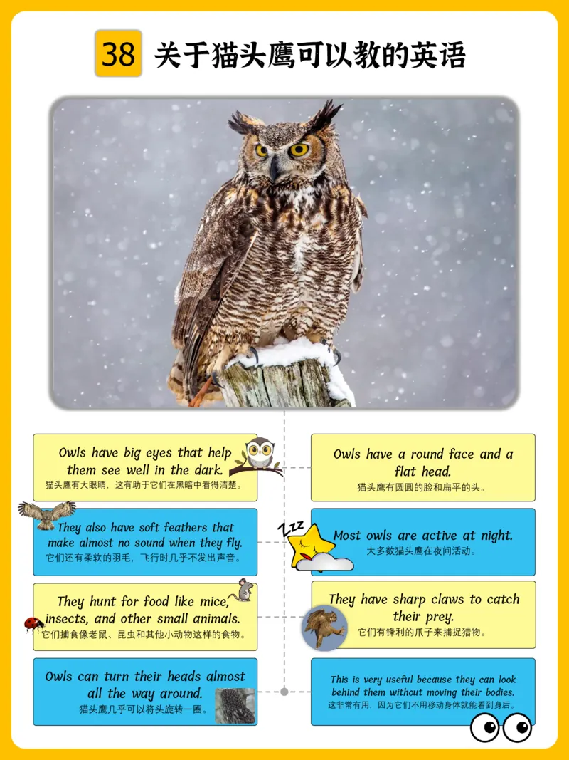 火爆的英语口语思维导图_《小学思维导图》_思维导图语数英第二套_英语_火爆的英语口语思维导图