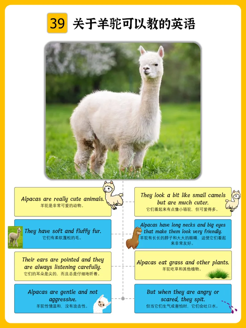 火爆的英语口语思维导图_《小学思维导图》_思维导图语数英第二套_英语_火爆的英语口语思维导图