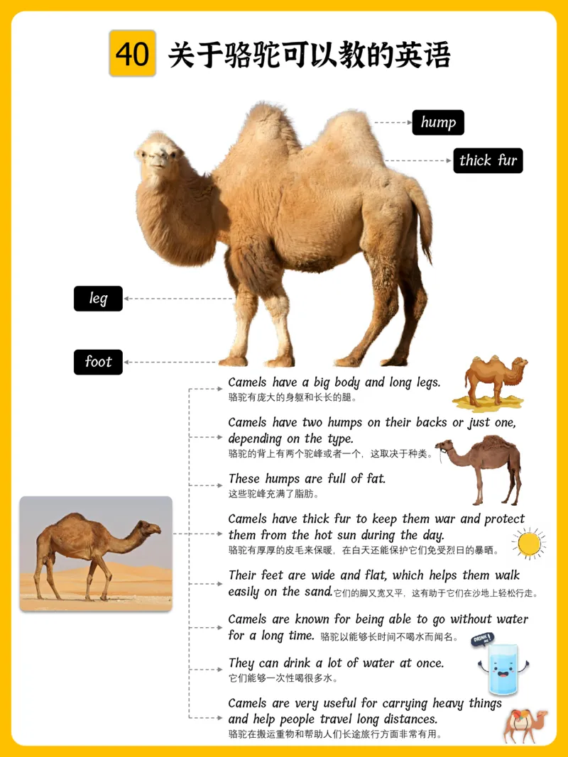 火爆的英语口语思维导图_《小学思维导图》_思维导图语数英第二套_英语_火爆的英语口语思维导图