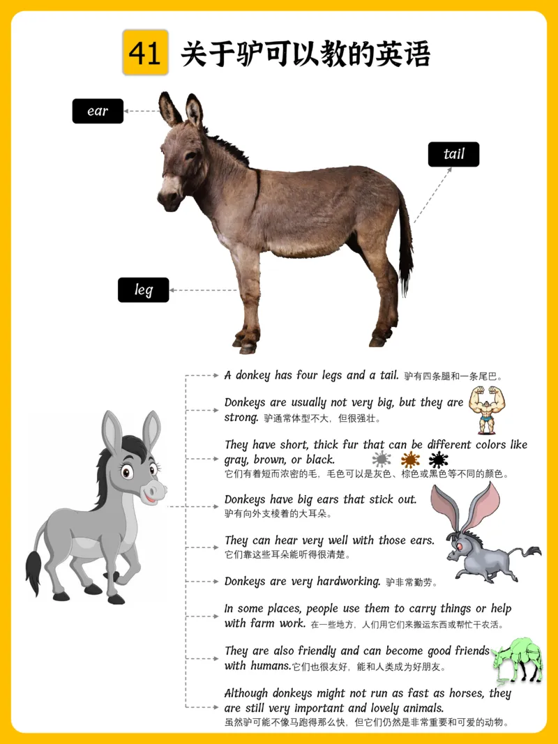 火爆的英语口语思维导图_《小学思维导图》_思维导图语数英第二套_英语_火爆的英语口语思维导图