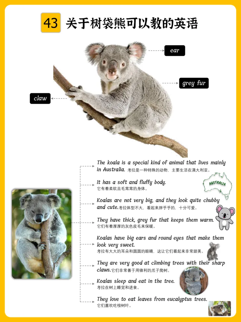 火爆的英语口语思维导图_《小学思维导图》_思维导图语数英第二套_英语_火爆的英语口语思维导图