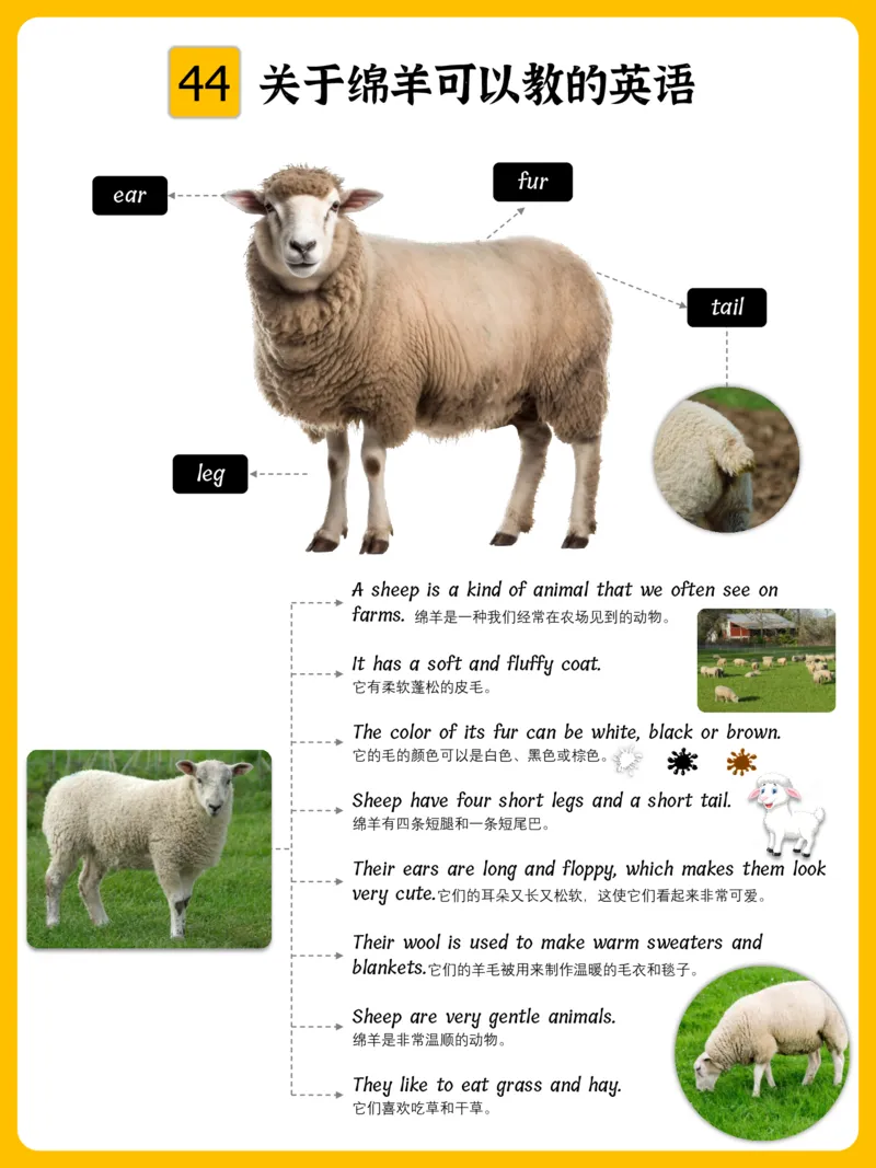 火爆的英语口语思维导图_《小学思维导图》_思维导图语数英第二套_英语_火爆的英语口语思维导图