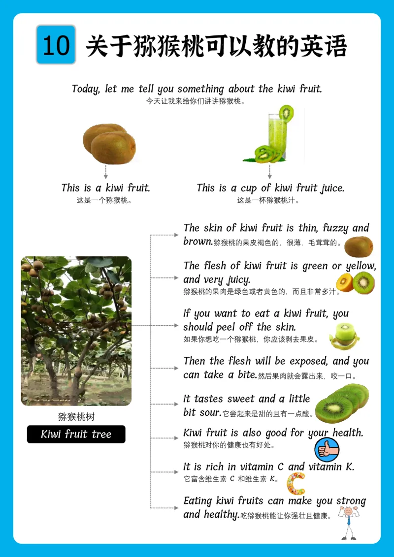 火爆的英语口语思维导图_《小学思维导图》_思维导图语数英第二套_英语_火爆的英语口语思维导图