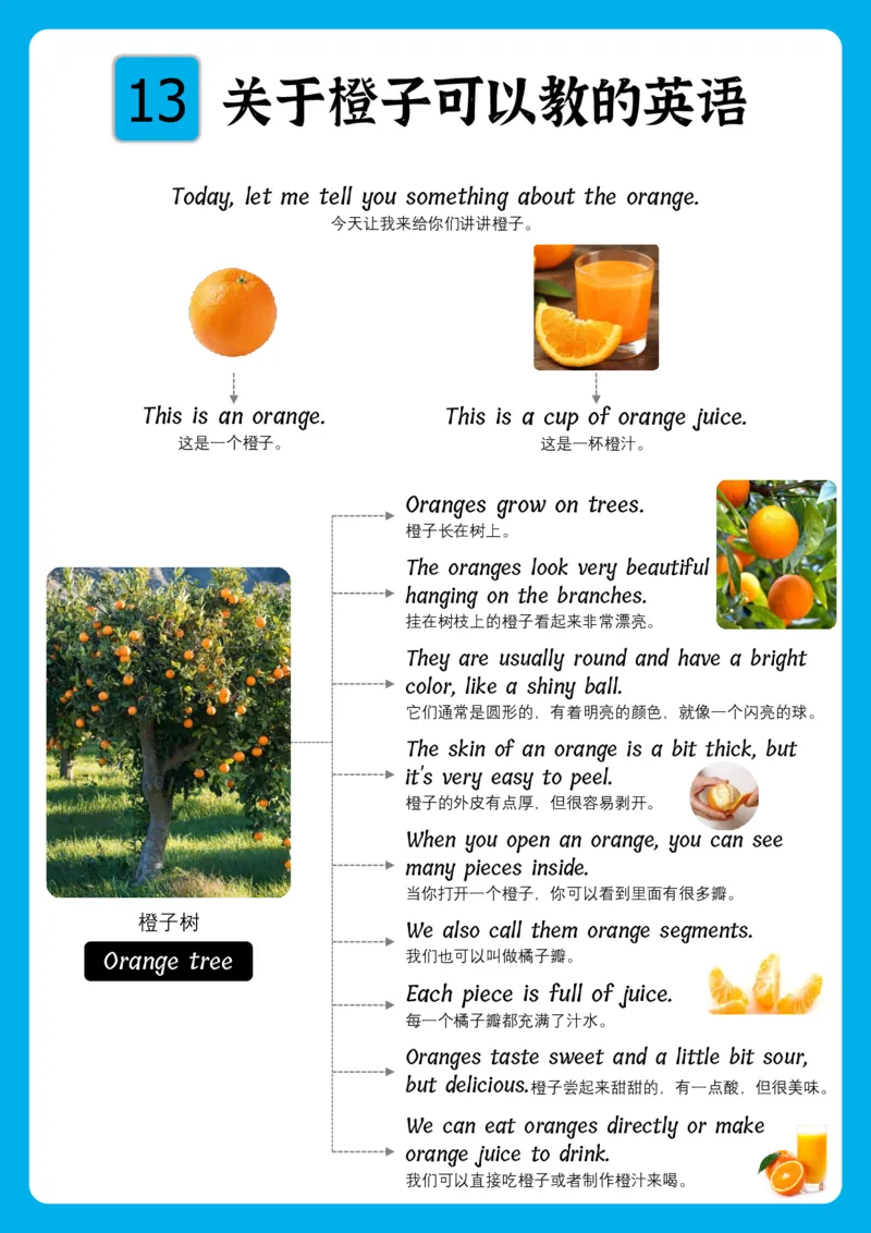 火爆的英语口语思维导图_《小学思维导图》_思维导图语数英第二套_英语_火爆的英语口语思维导图