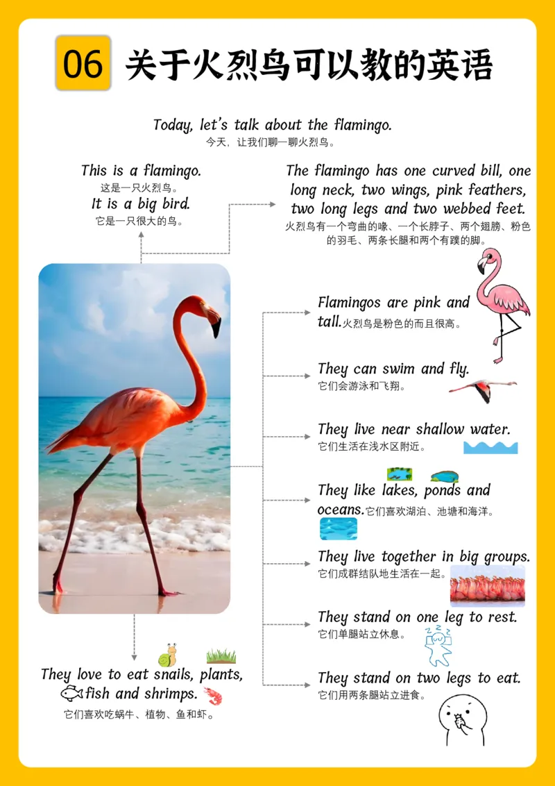 火爆的英语口语思维导图_《小学思维导图》_思维导图语数英第二套_英语_火爆的英语口语思维导图