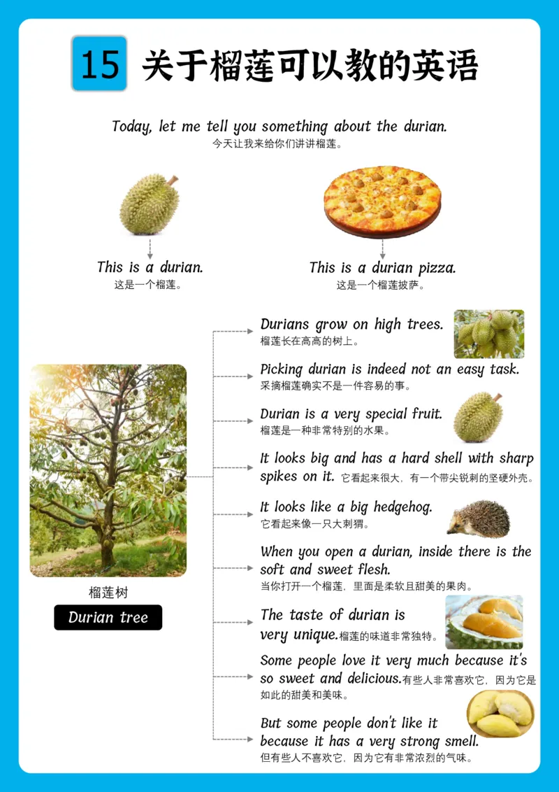 火爆的英语口语思维导图_《小学思维导图》_思维导图语数英第二套_英语_火爆的英语口语思维导图