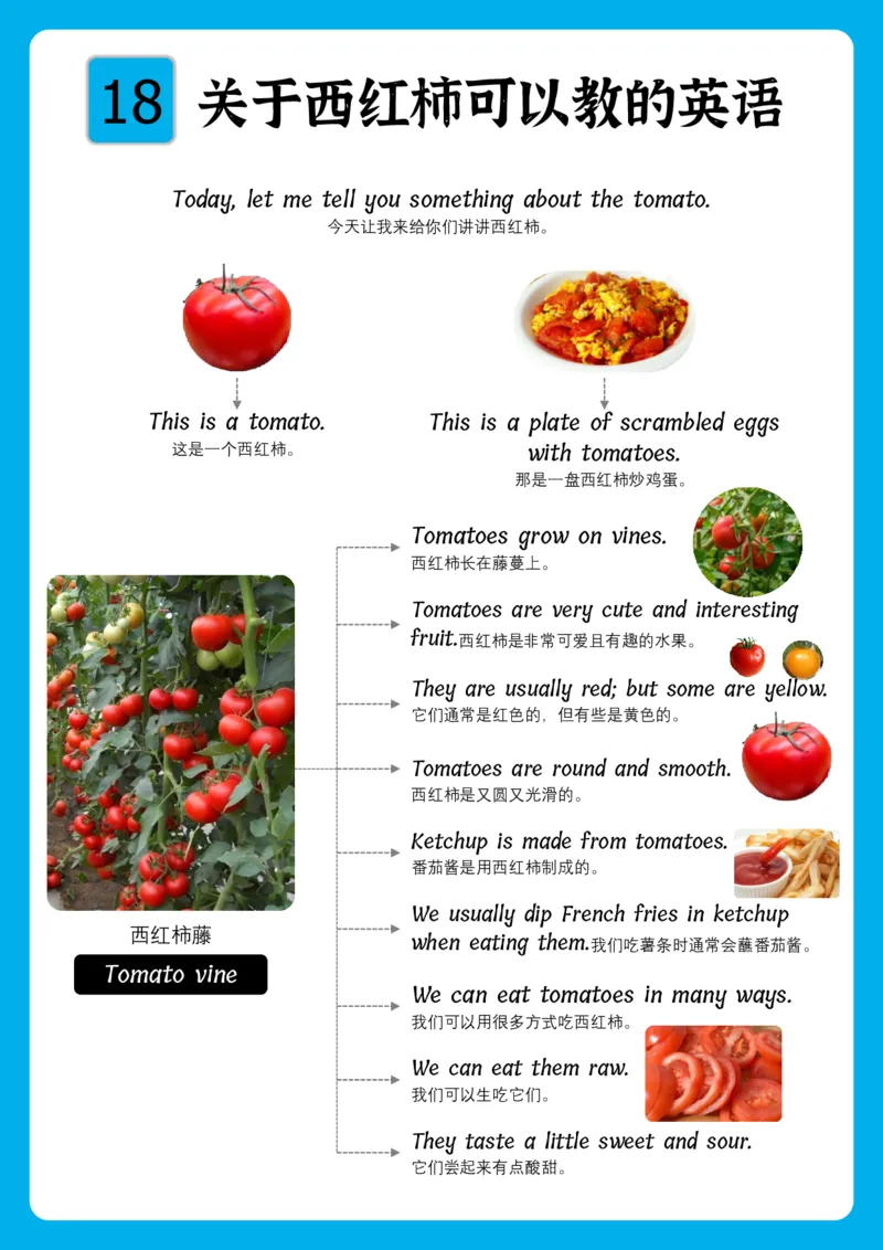 火爆的英语口语思维导图_《小学思维导图》_思维导图语数英第二套_英语_火爆的英语口语思维导图