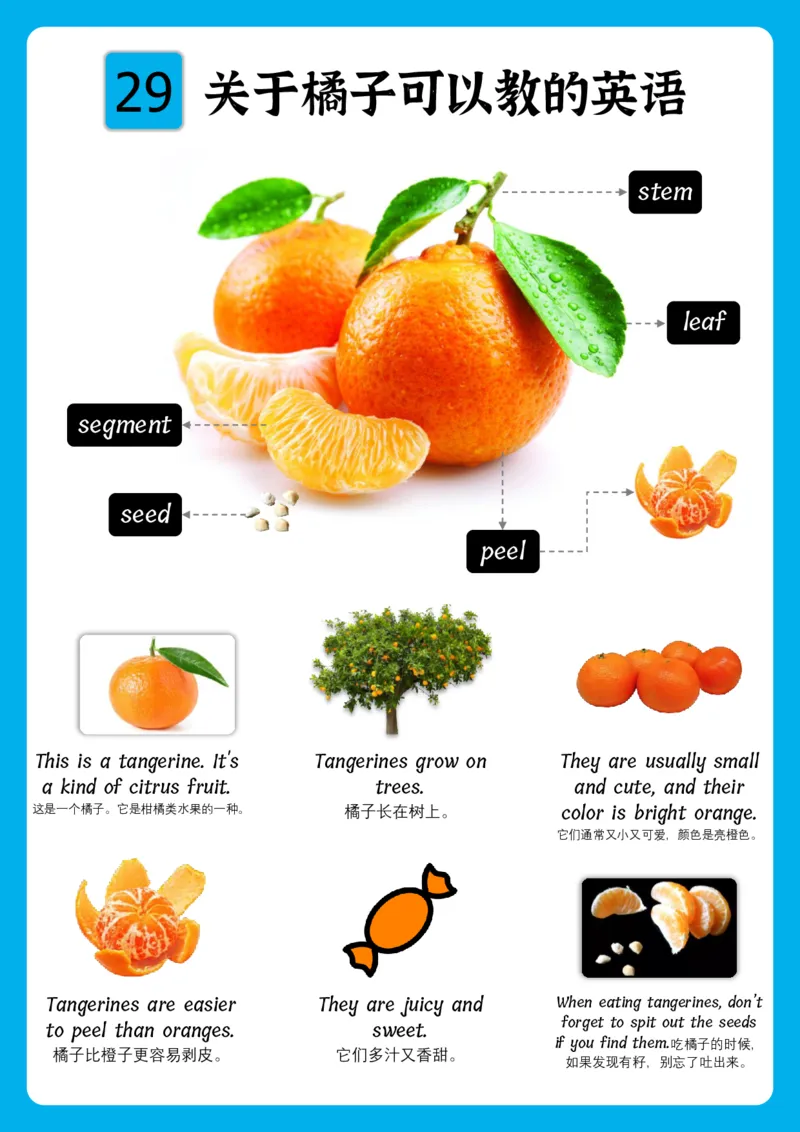 火爆的英语口语思维导图_《小学思维导图》_思维导图语数英第二套_英语_火爆的英语口语思维导图