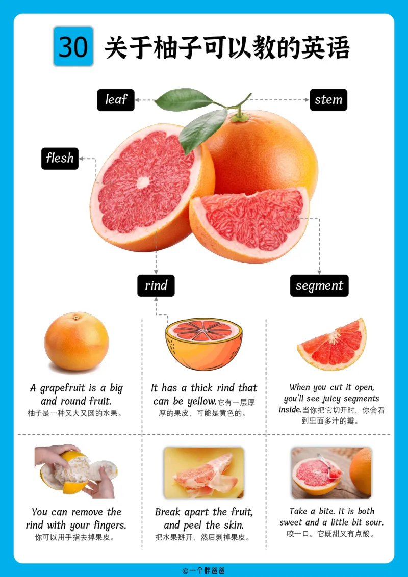 火爆的英语口语思维导图_《小学思维导图》_思维导图语数英第二套_英语_火爆的英语口语思维导图