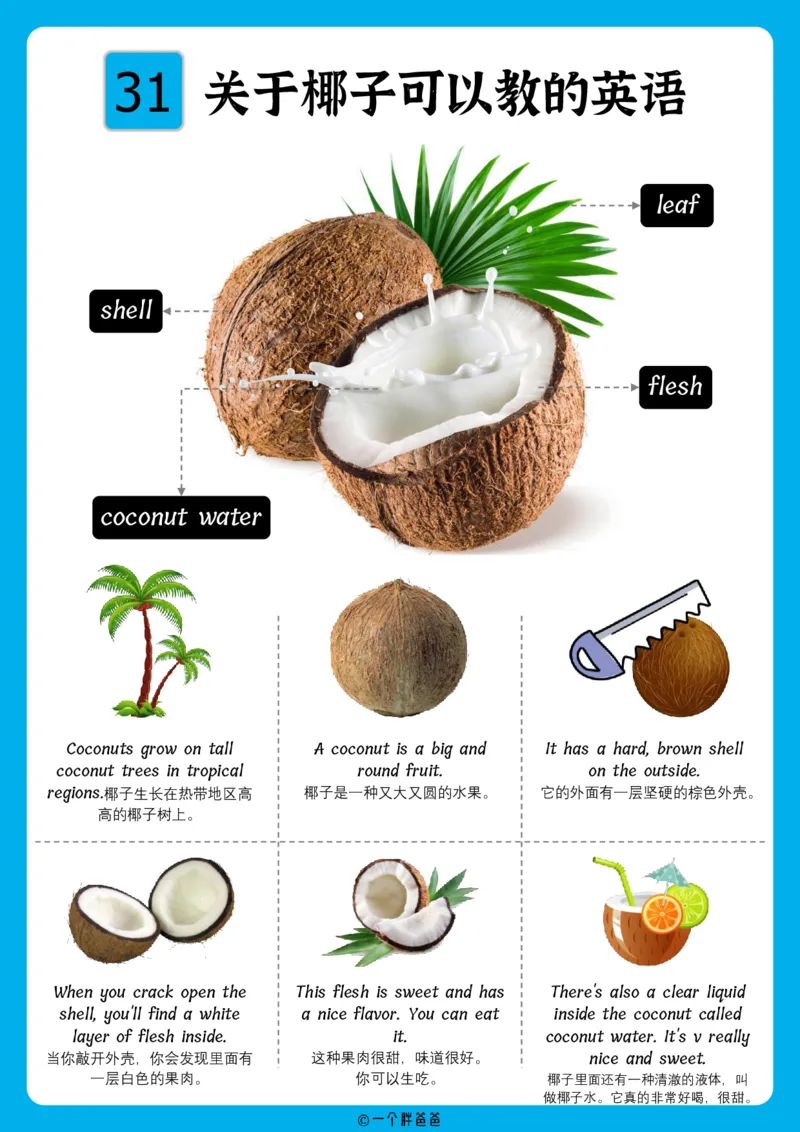 火爆的英语口语思维导图_《小学思维导图》_思维导图语数英第二套_英语_火爆的英语口语思维导图