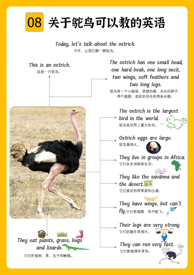 火爆的英语口语思维导图_《小学思维导图》_思维导图语数英第二套_英语_火爆的英语口语思维导图