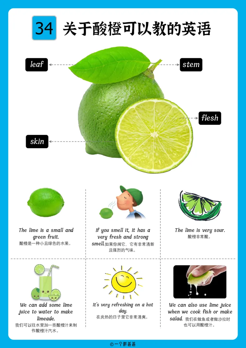 火爆的英语口语思维导图_《小学思维导图》_思维导图语数英第二套_英语_火爆的英语口语思维导图