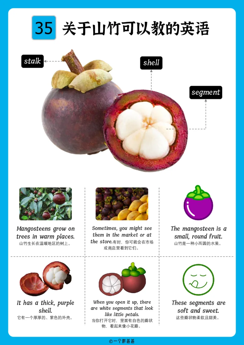 火爆的英语口语思维导图_《小学思维导图》_思维导图语数英第二套_英语_火爆的英语口语思维导图