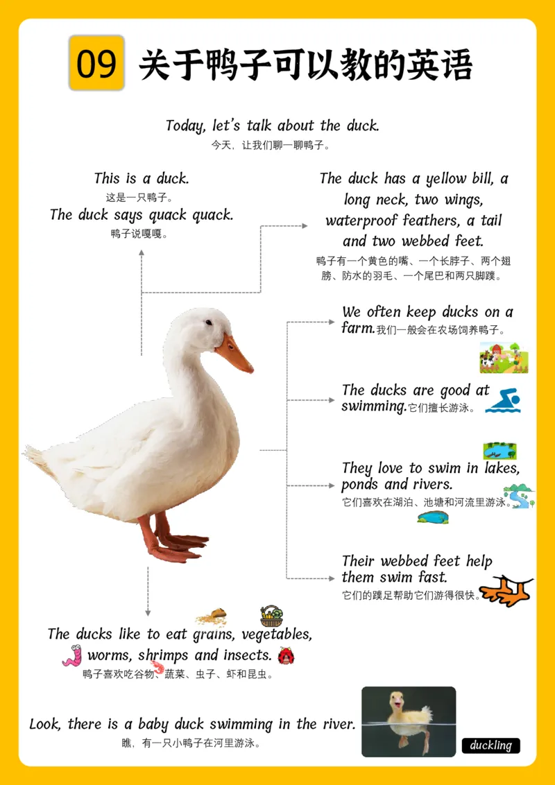 火爆的英语口语思维导图_《小学思维导图》_思维导图语数英第二套_英语_火爆的英语口语思维导图