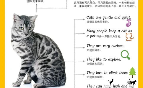 火爆的英语口语思维导图_《小学思维导图》_思维导图语数英第二套_英语_火爆的英语口语思维导图