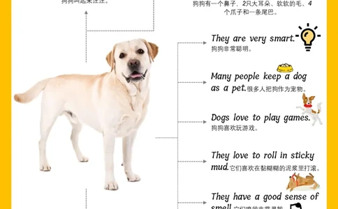 火爆的英语口语思维导图_《小学思维导图》_思维导图语数英第二套_英语_火爆的英语口语思维导图