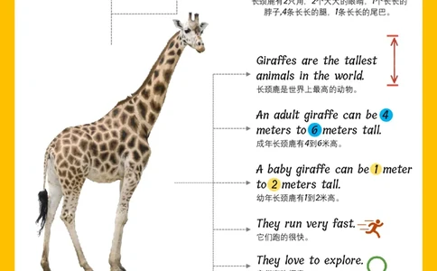火爆的英语口语思维导图_《小学思维导图》_思维导图语数英第二套_英语_火爆的英语口语思维导图