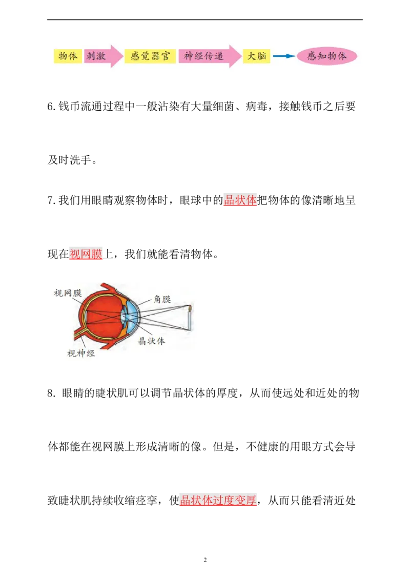 新大象版科学五年级上册第二单元知识点总结+练习_《小学各科知识点》_小学科学《知识梳理》1-6年级上下册_大象版小学科学1-6年级上下册知识梳理_上册_大象版小学科学五上：知识点总结