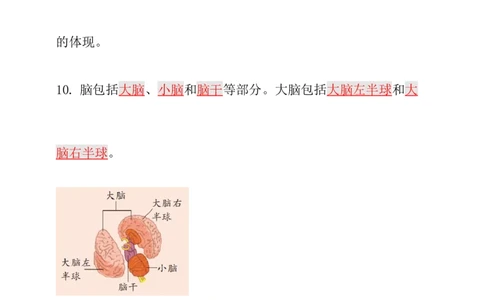新大象版科学五年级上册第二单元知识点总结+练习_《小学各科知识点》_小学科学《知识梳理》1-6年级上下册_大象版小学科学1-6年级上下册知识梳理_上册_大象版小学科学五上：知识点总结