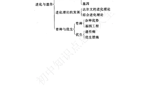 浙教版九年级下册科学知识点_24秋《初中各科知识点梳理》_初中科学《知识梳理》7-9年级上下册_浙教版初中科学7-9年级上下册知识梳理