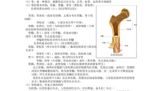 北京版初中生物八上知识点_24秋《初中各科知识点梳理》_初中生物《知识梳理》7-8年级上下册_北京版初中生物7-8年级上下册知识点